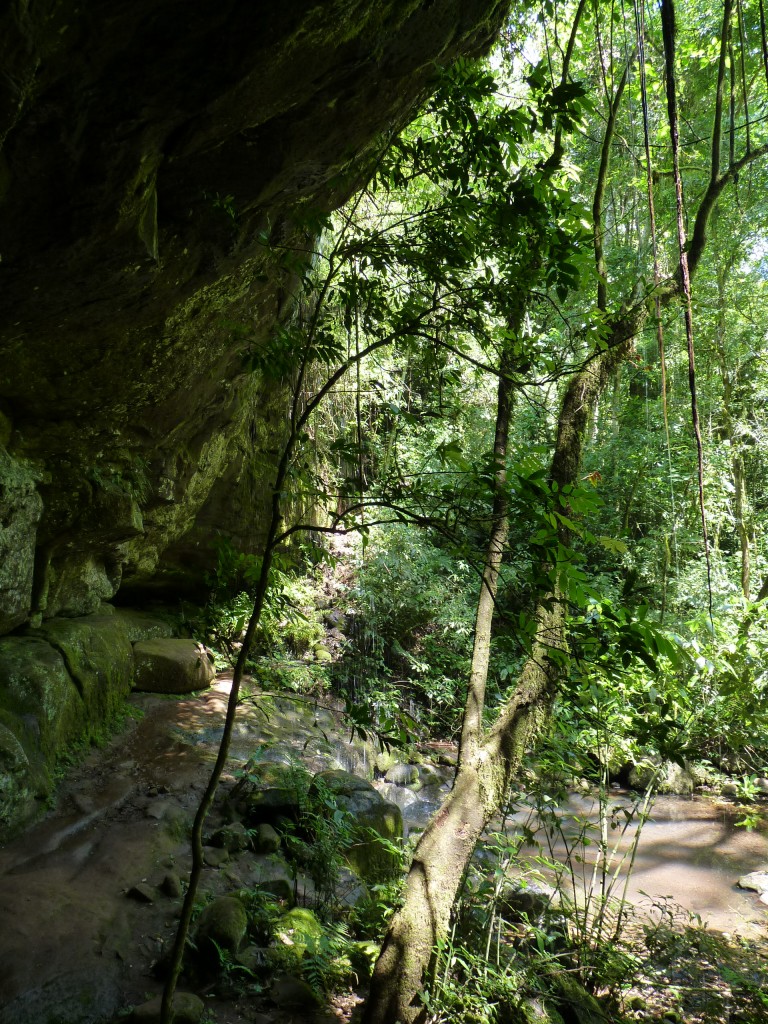 Foto: Parque Moconá - El Soberbio (Misiones), Argentina