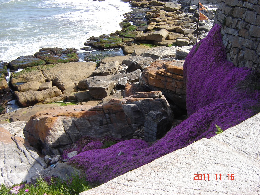 Foto: Playa chica - Mar del Plata (Buenos Aires), Argentina