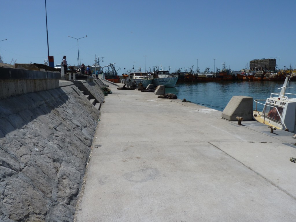 Foto: Puerto. - Mar del Plata (Buenos Aires), Argentina