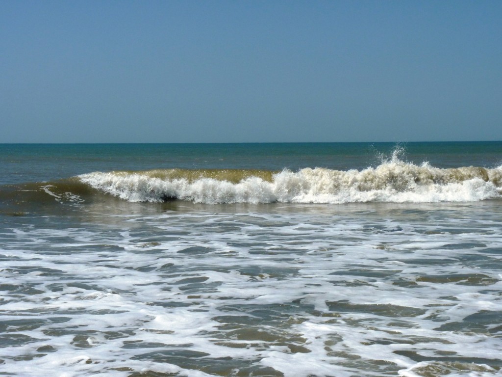 Foto: Santa Clara del Mar - Mar del Plata (Buenos Aires), Argentina
