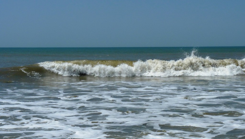 Foto: Santa Clara del Mar - Mar del Plata (Buenos Aires), Argentina