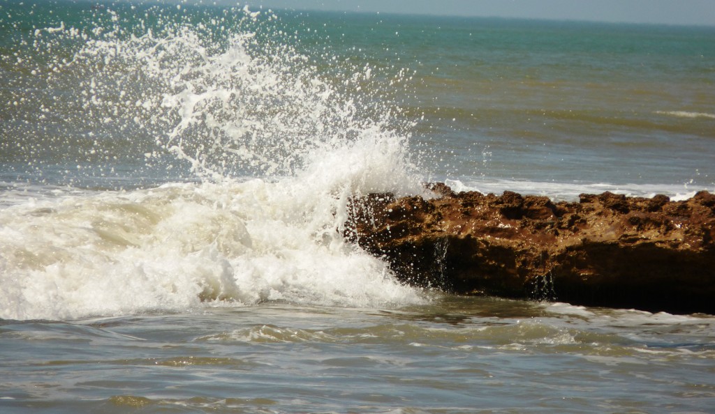 Foto de Mar del Plata (Buenos Aires), Argentina
