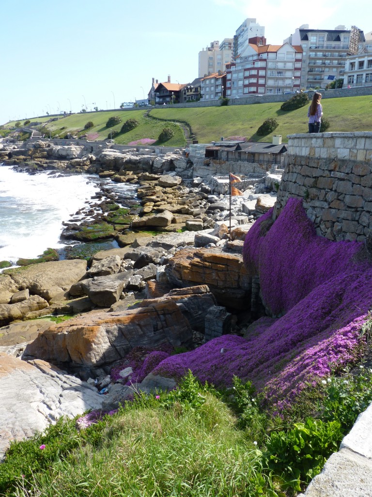 Foto: Playa chica - Mar del Plata (Buenos Aires), Argentina