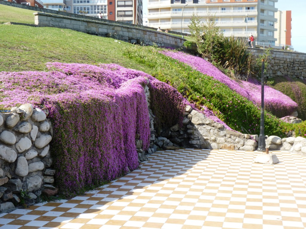 Foto: Playa chica - Mar del Plata (Buenos Aires), Argentina