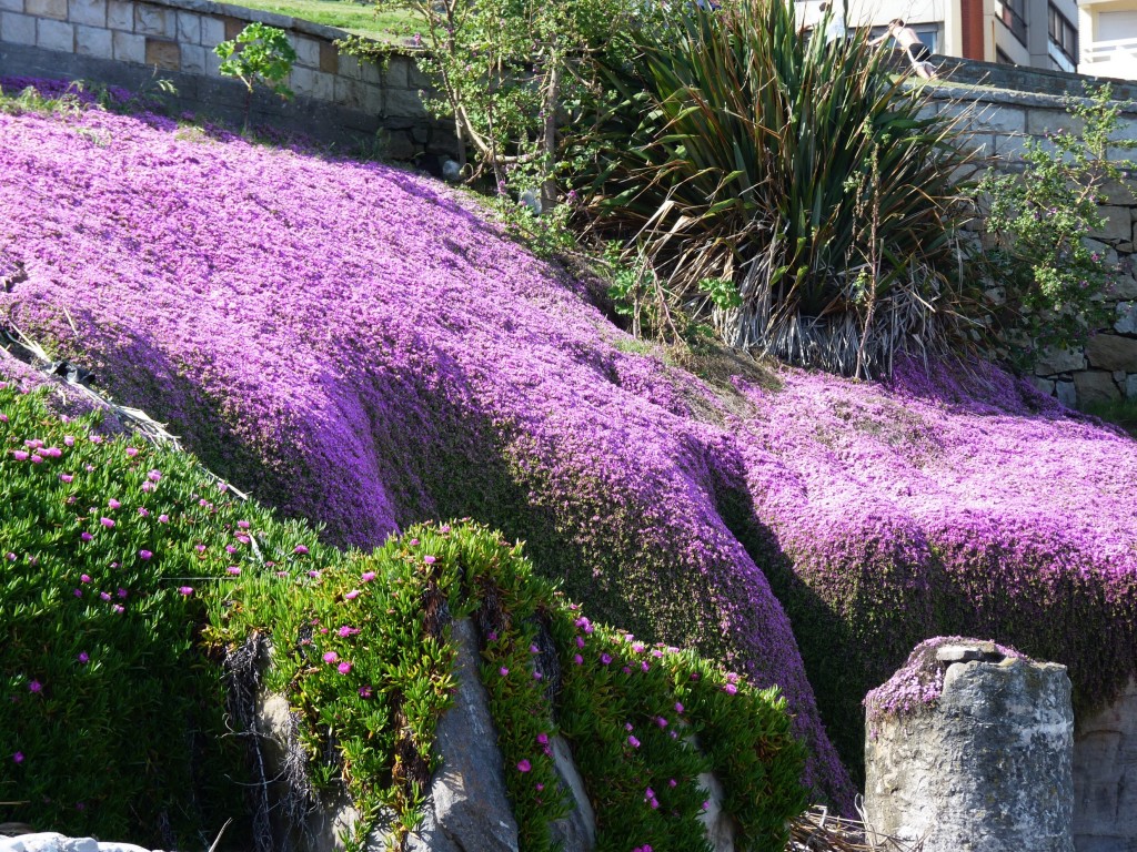 Foto: Playa chica - Mar del Plata (Buenos Aires), Argentina