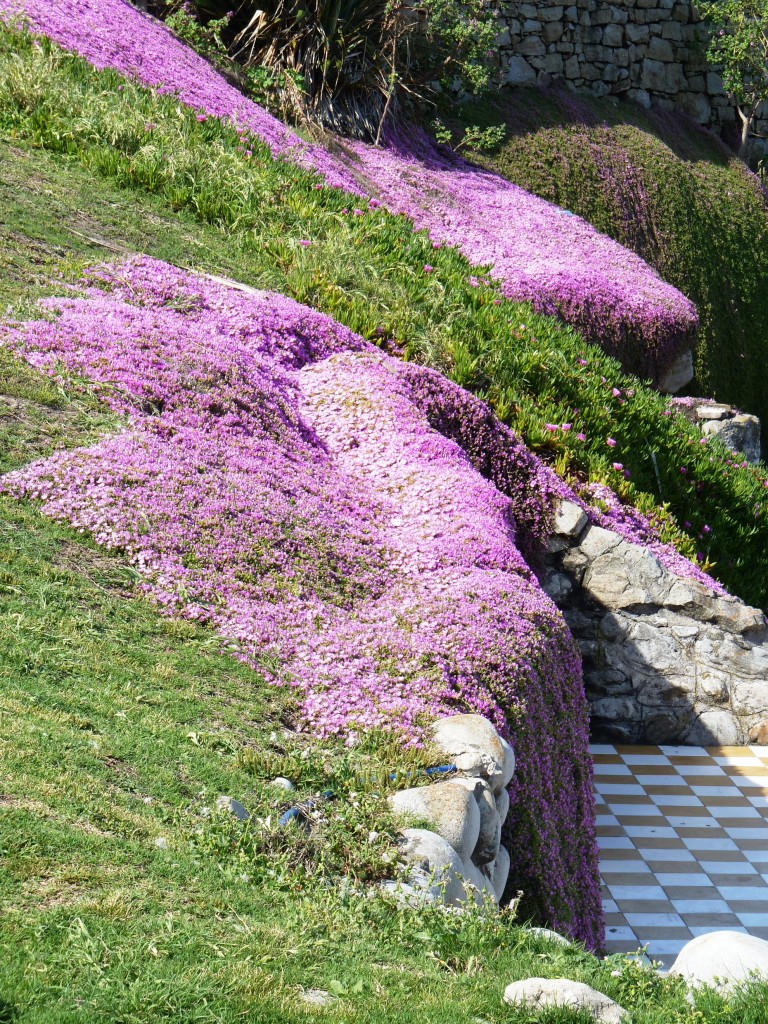 Foto: Playa chica - Mar del Plata (Buenos Aires), Argentina