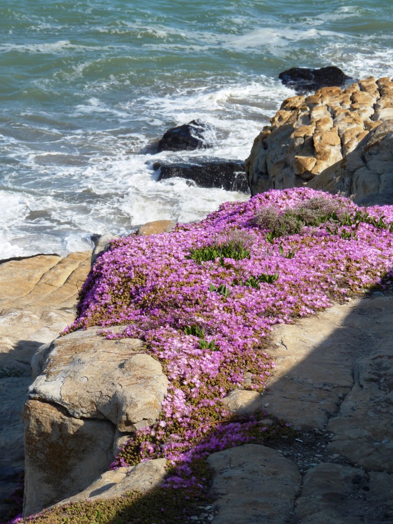 Foto: Playa chica - Mar del Plata (Buenos Aires), Argentina