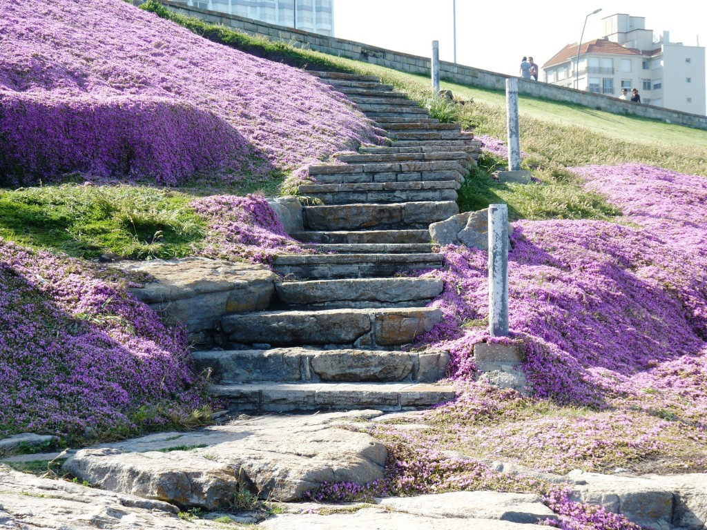 Foto: Playa chica - Mar del Plata (Buenos Aires), Argentina