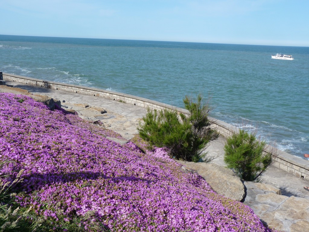 Foto: Playa chica - Mar del Plata (Buenos Aires), Argentina