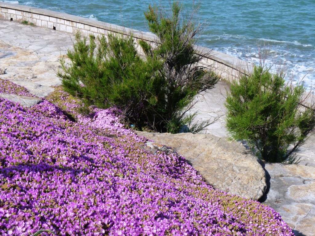 Foto: Playa chica - Mar del Plata (Buenos Aires), Argentina