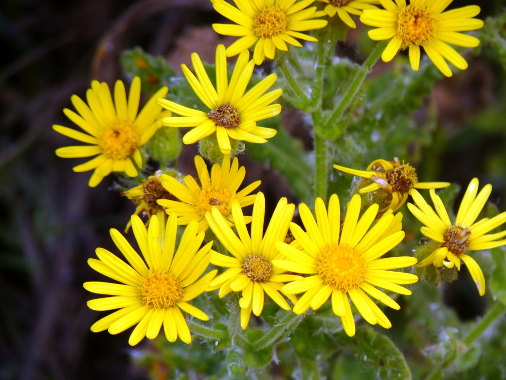 Foto: Sierra de los Padres - Mar del Plata (Buenos Aires), Argentina