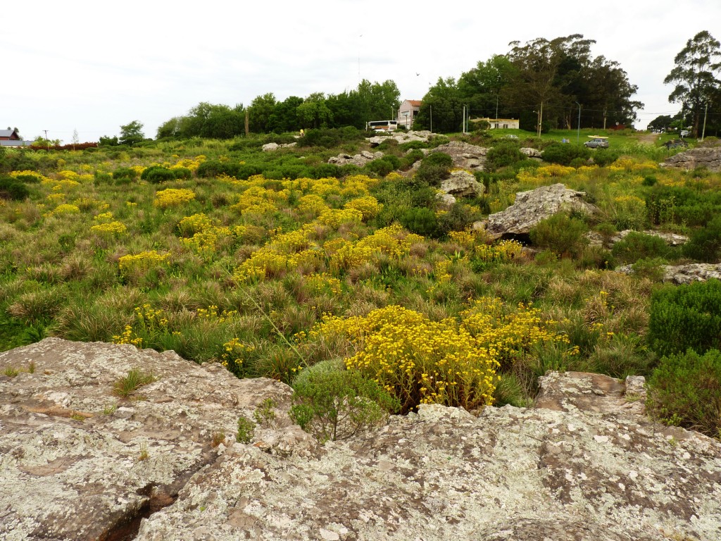 Foto: Sierra de los Padres - Mar del Plata (Buenos Aires), Argentina