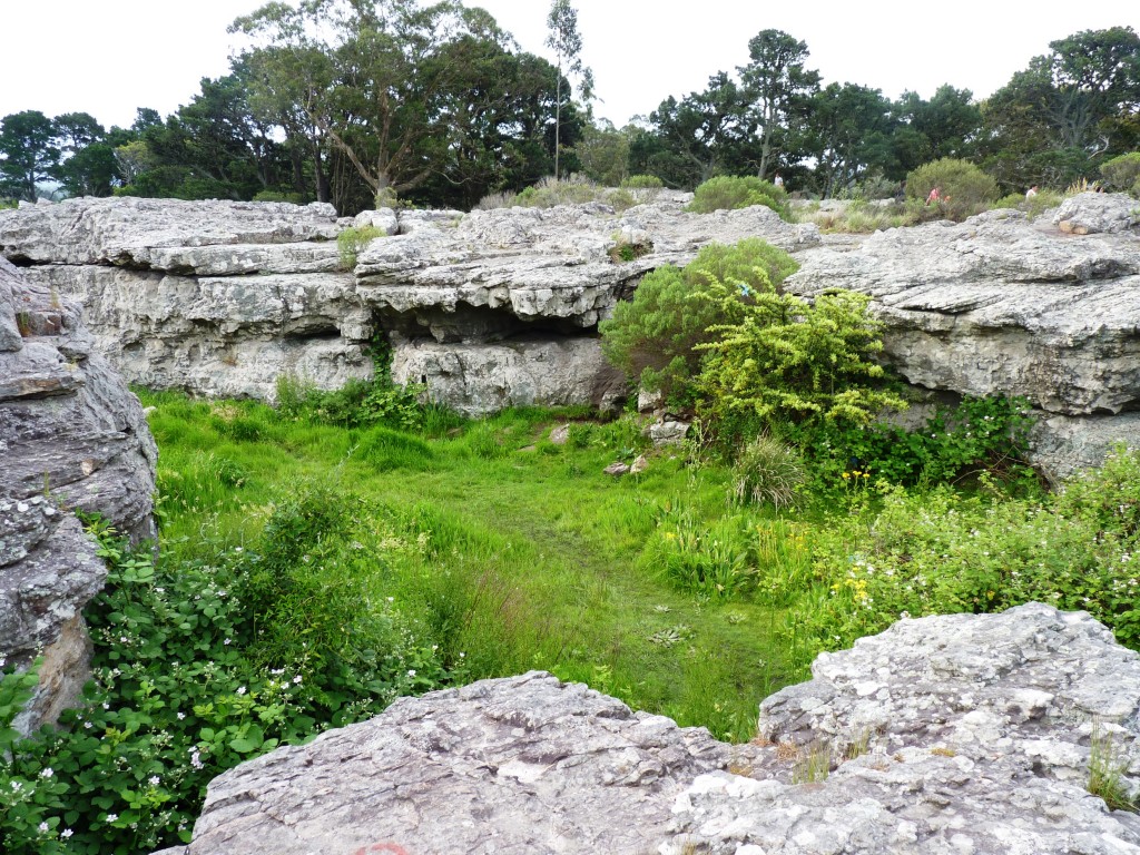 Foto: Sierra de los Padres - Mar del Plata (Buenos Aires), Argentina