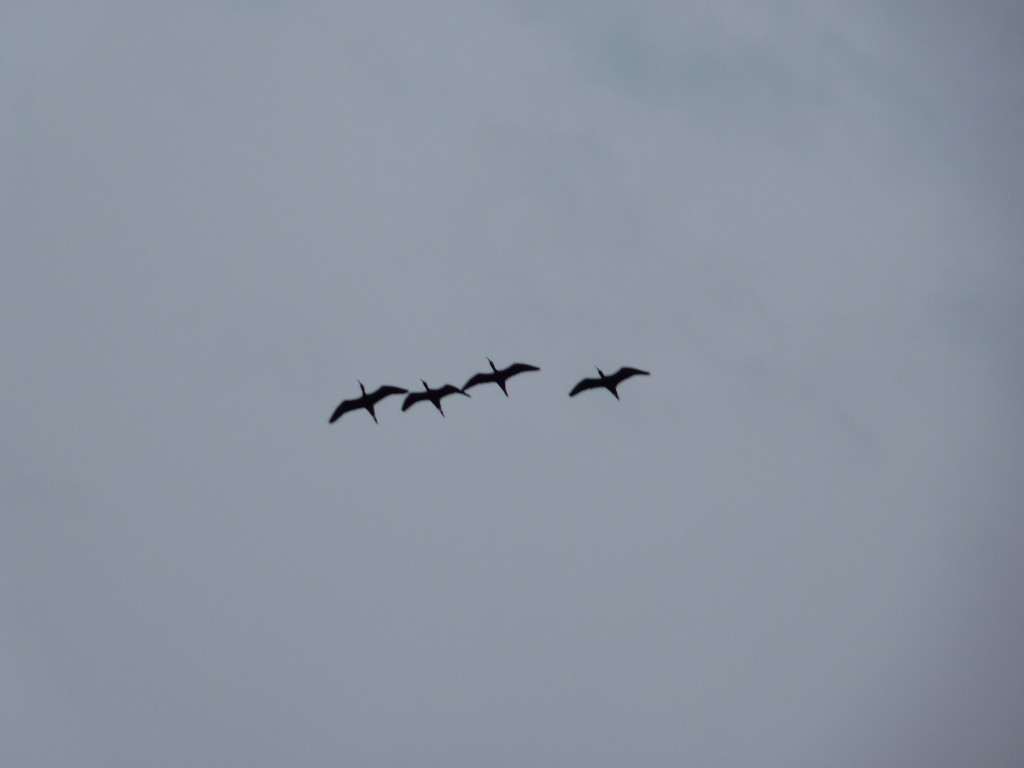 Foto: Sierra de los Padres - Mar del Plata (Buenos Aires), Argentina