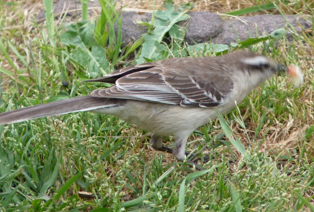 Foto: Sierra de los Padres - Mar del Plata (Buenos Aires), Argentina