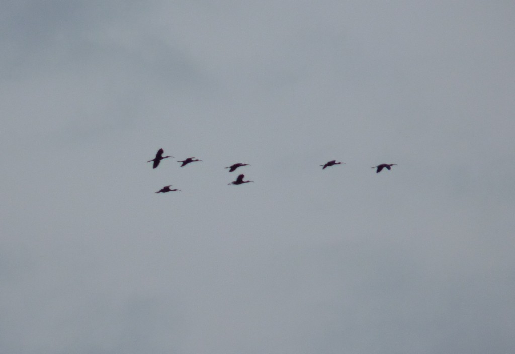 Foto de Mar del Plata (Buenos Aires), Argentina