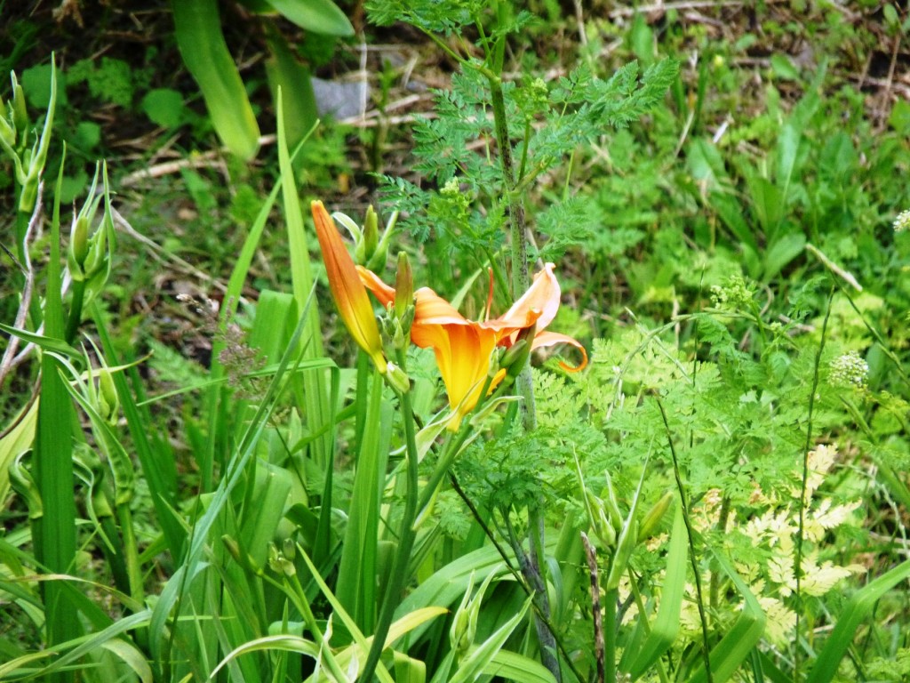 Foto: Sierra de los Padres - Mar del Plata (Buenos Aires), Argentina