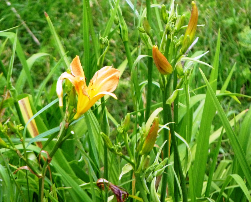 Foto: Sierra de los Padres - Mar del Plata (Buenos Aires), Argentina