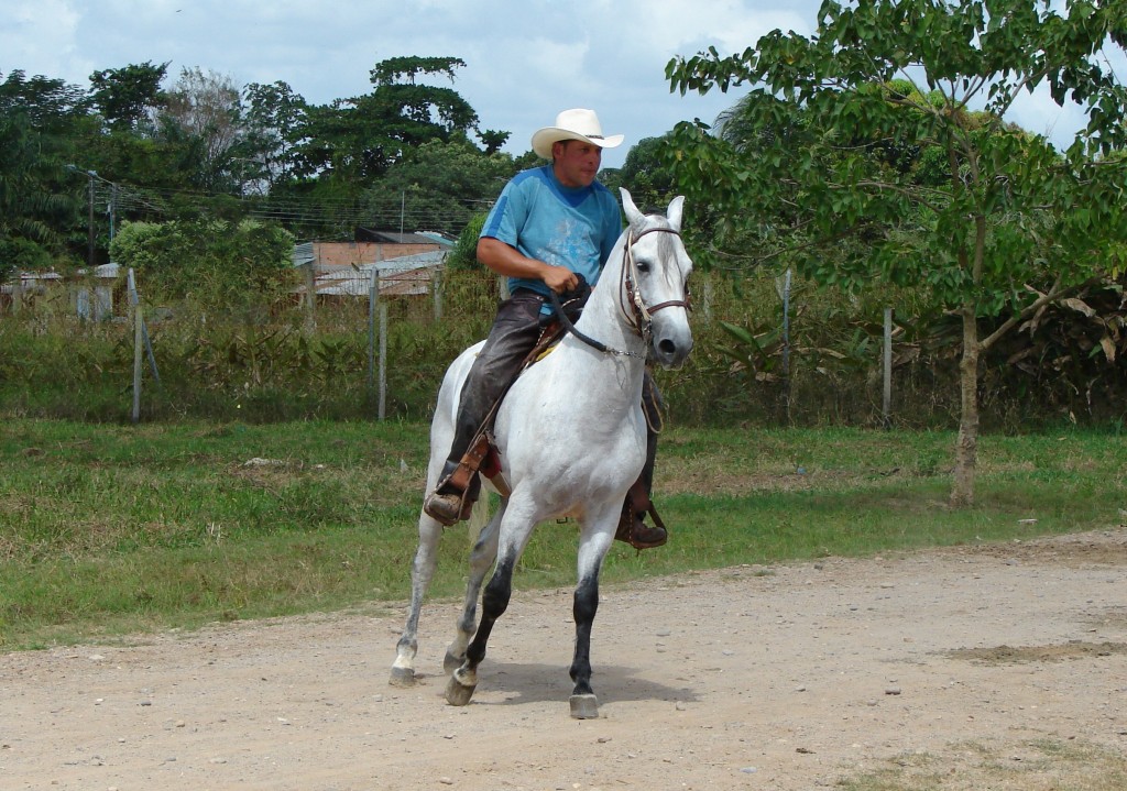 Foto de Apure, Venezuela