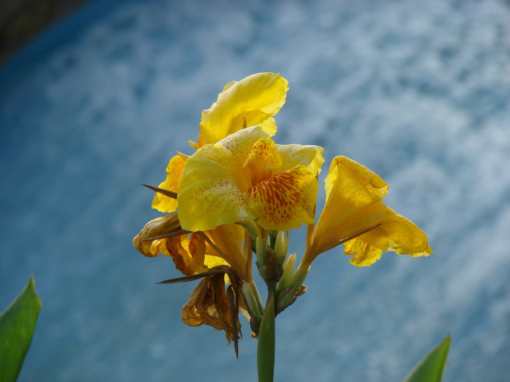 Foto de Caracas, Venezuela