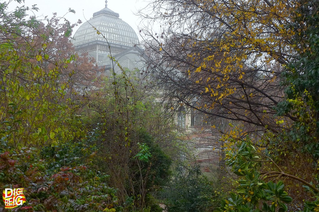 Foto: Otoño en el Parque del Retiro - Madrid (Comunidad de Madrid), España