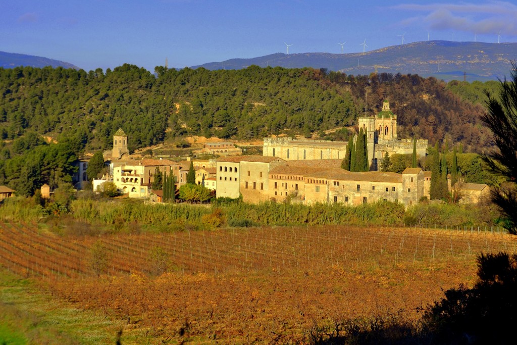 Foto: Cister - Monestir de Santes Creus (Tarragona), España