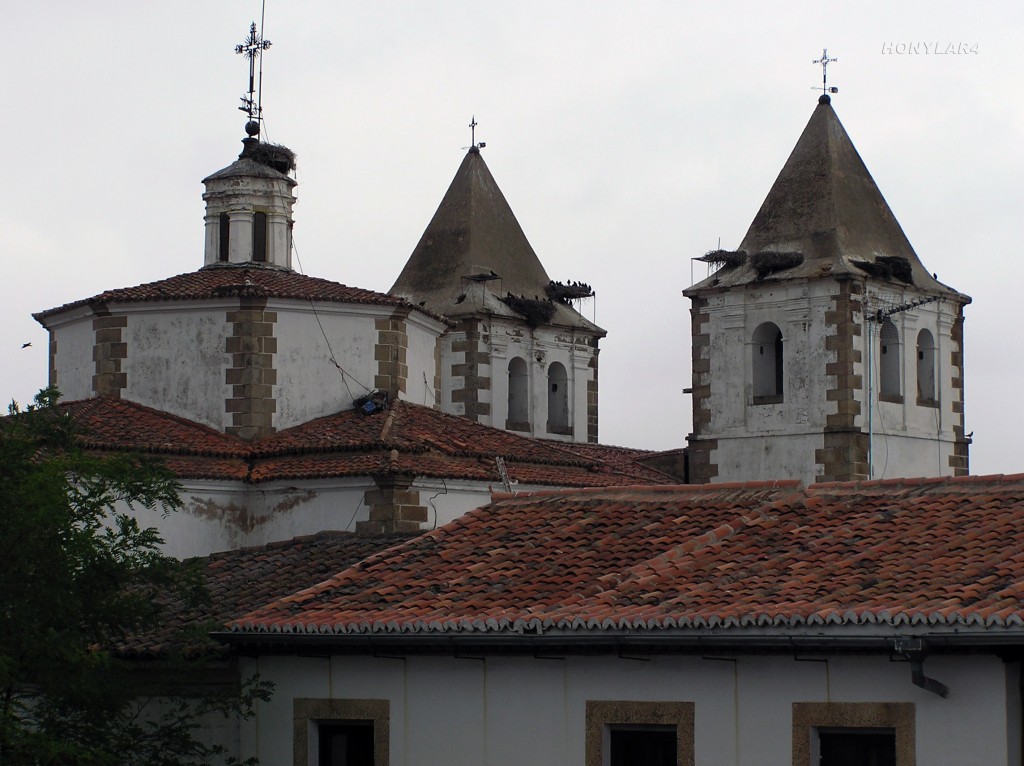 Foto: * TORRE IGLESIA DE FRANCISCO JAVIER DEL SIGLO XVIII - Caceres (Cáceres), España
