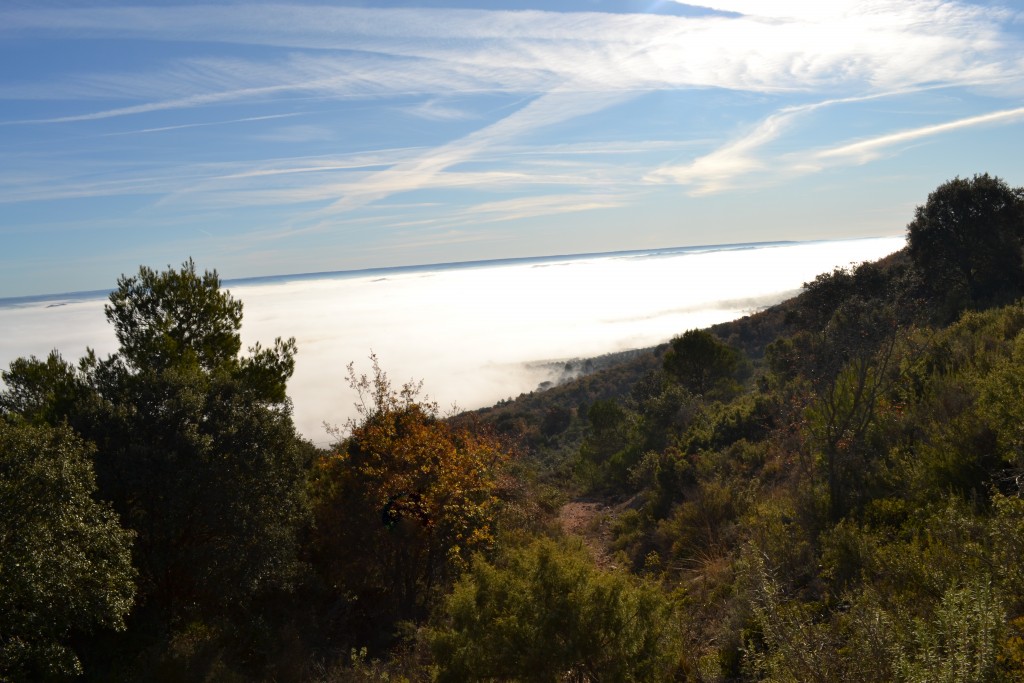 Foto: niebla - Mazarulleque (Cuenca), España