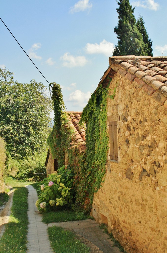 Foto: Vista del pueblo - El Mallol (La Vall d´en Bas) (Girona), España