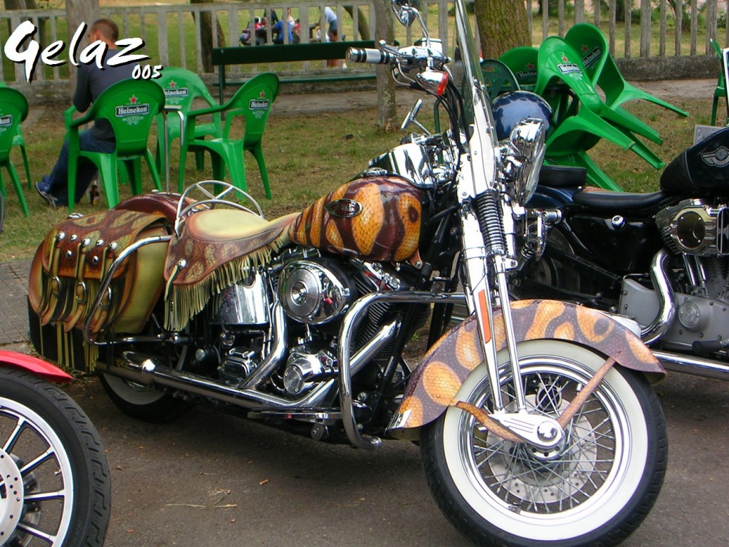 Foto: Harley-davidson/perlora-asturias/jun 2005 - Perlora (Carreño) (Asturias), España