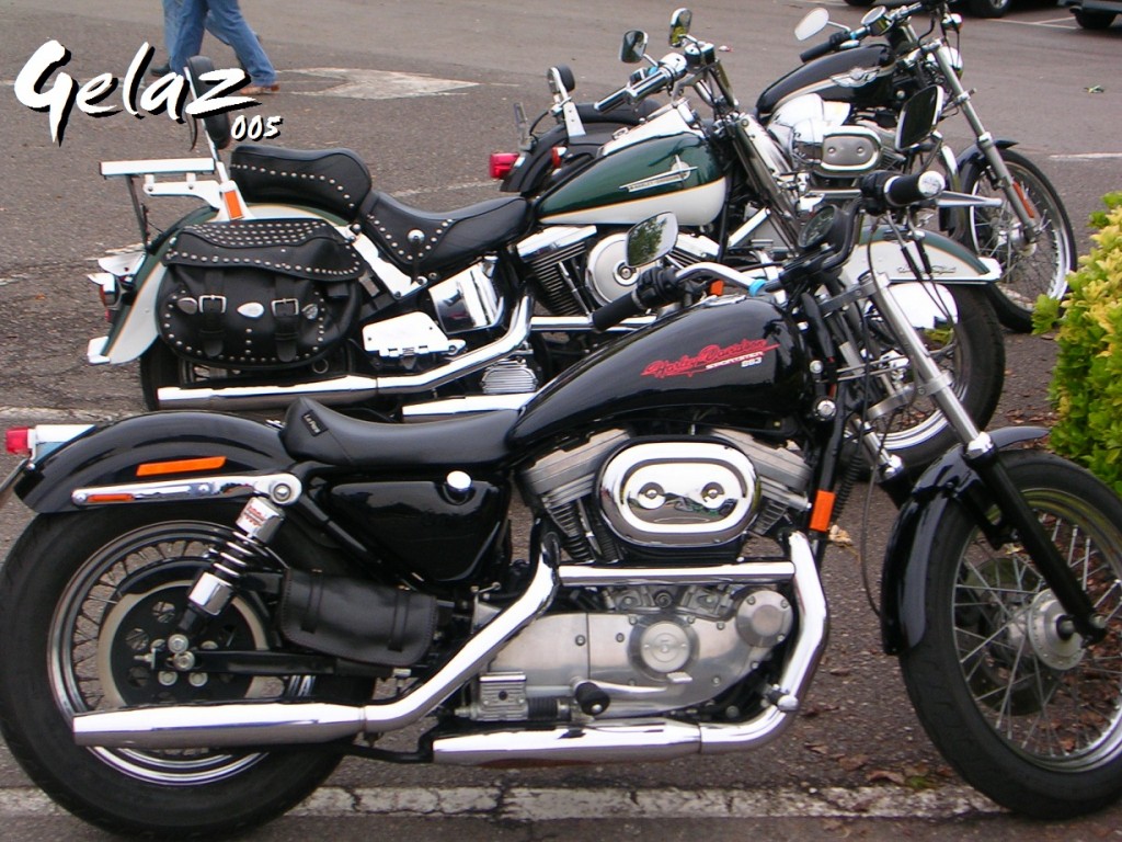 Foto: Harley-davidson/perlora-asturias/jun 2005 - Perlora (Carreño) (Asturias), España