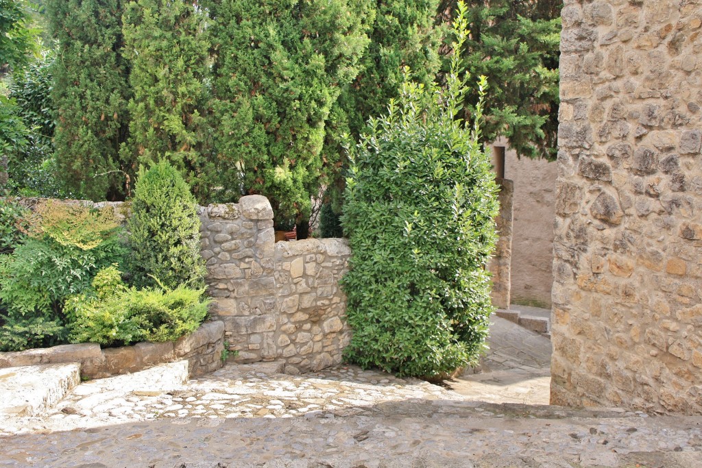 Foto: Vista del pueblo - Oix (Girona), España