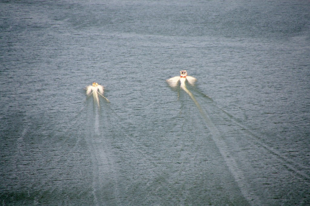 Foto: Vista del pantano - Vilanova de Sau (Barcelona), España