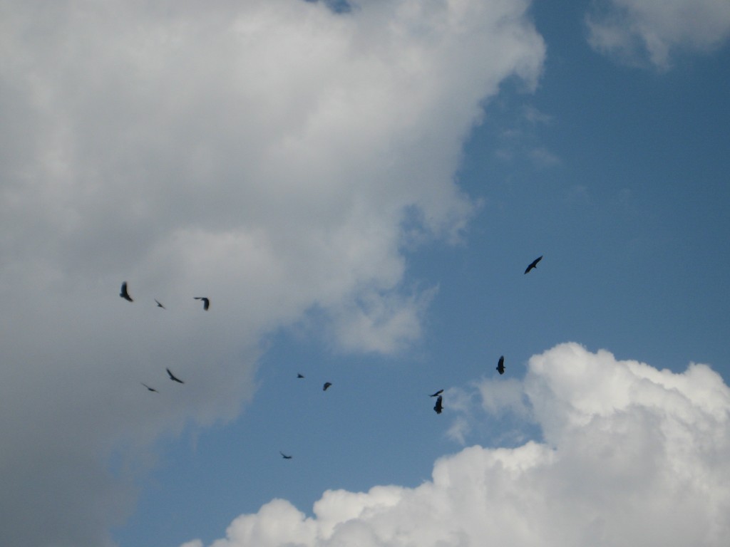 Foto de Tapachula (Chiapas), México