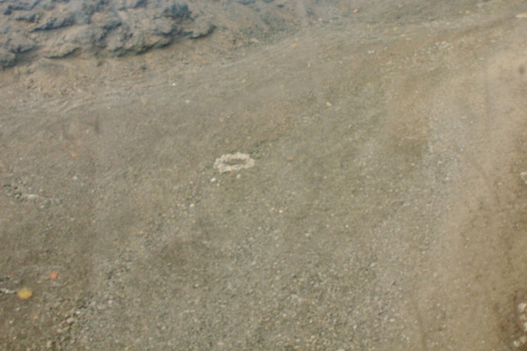 Foto: Vistas desde el funicular - Nicolosi (Sicily), Italia
