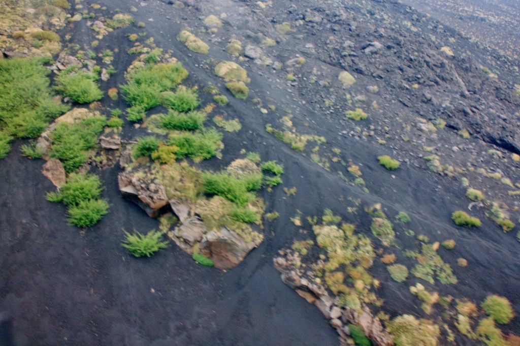 Foto: Vistas desde el funicular - Nicolosi (Sicily), Italia