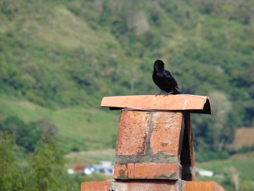Foto: Paisaje - La Grita Tachira, Venezuela