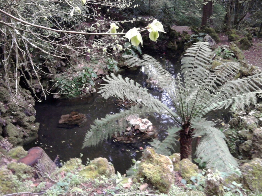 Foto: jardines del palacio de busaco - Coimbra, Portugal
