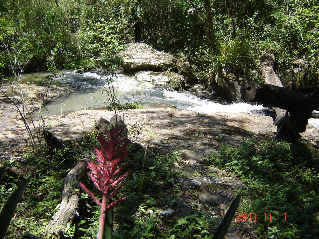 Foto: Cañadón Profundidad - Parque Profundidad (Misiones), Argentina