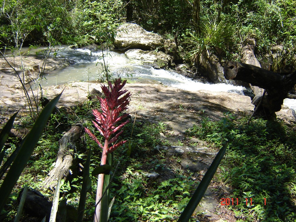 Foto: Cañadón Profundidad - Parque Profundidad (Misiones), Argentina