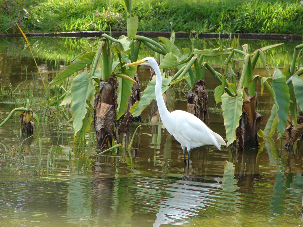Foto de Caracas, Venezuela