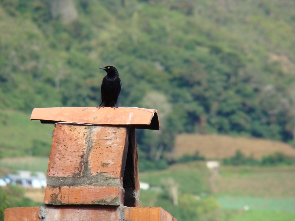 Foto: El Observador - La Grita Tachira, Venezuela