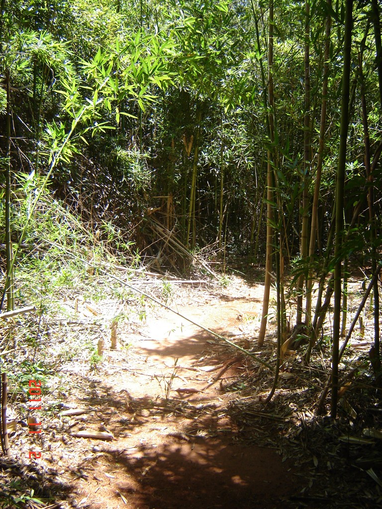 Foto: Casa de Ignacio Quiroga - San Ignacio (Misiones), Argentina