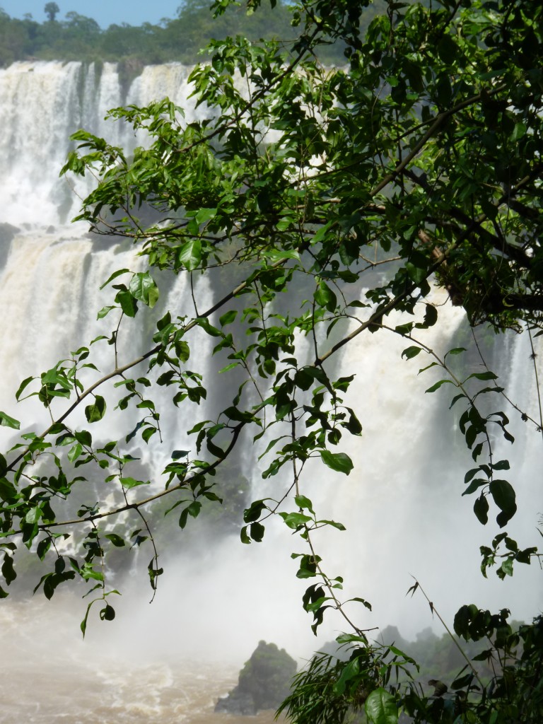 Foto: Saltos Mbiguá y Bernabé Méndez. - Iguazú (Misiones), Argentina