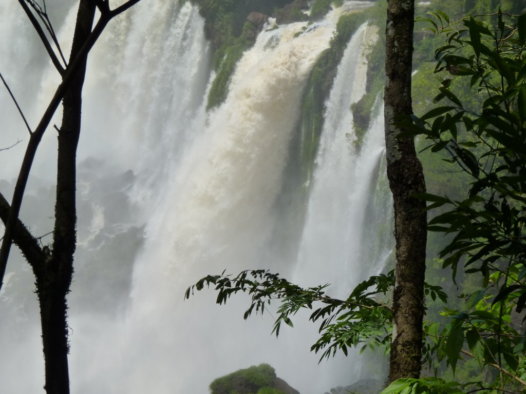 Foto: Salto Bernabé Méndez. - Iguazú (Misiones), Argentina