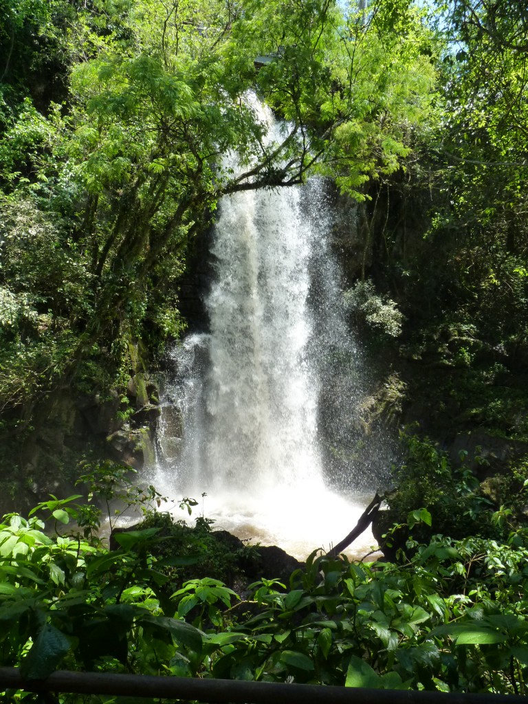 Foto: Cataratas del Iguazú - Iguazú (Misiones), Argentina