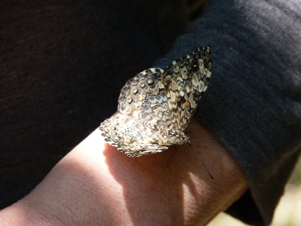 Foto: Cataratas del Iguazú - Iguazú (Misiones), Argentina