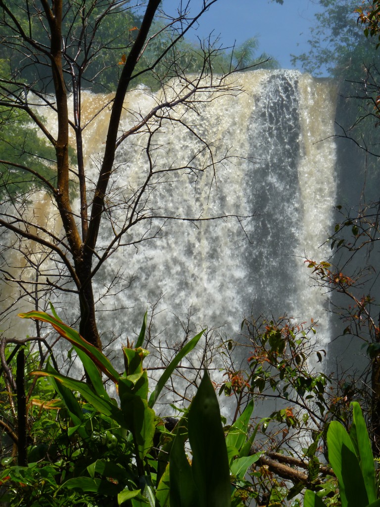 Foto: Salto Dos Hermanas - Iguazú (Misiones), Argentina