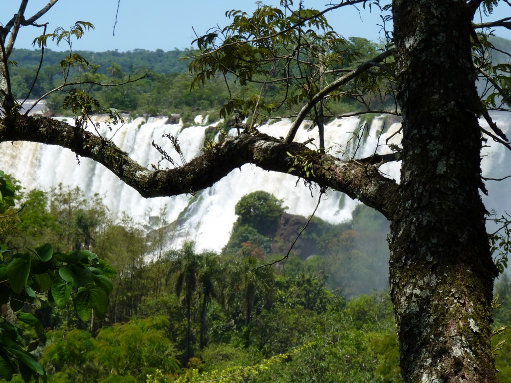 Foto: Cataratas del Iguazú - Iguazú (Misiones), Argentina