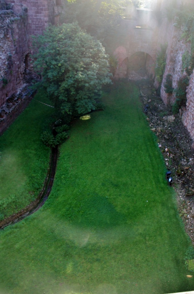 Foto: Foso castillo - Heidelberg (Baden-Württemberg), Alemania